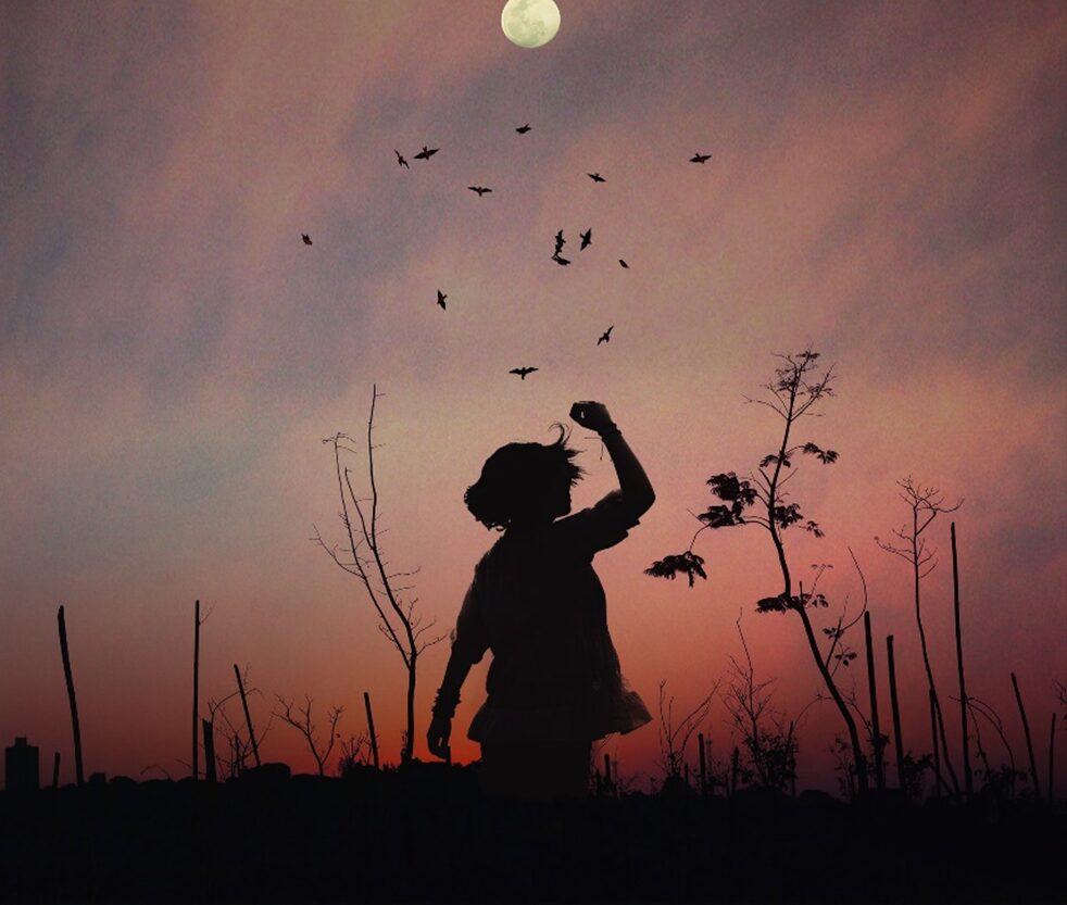 Silhouette of young girl posed expressively at sunset with birds flying overhead.