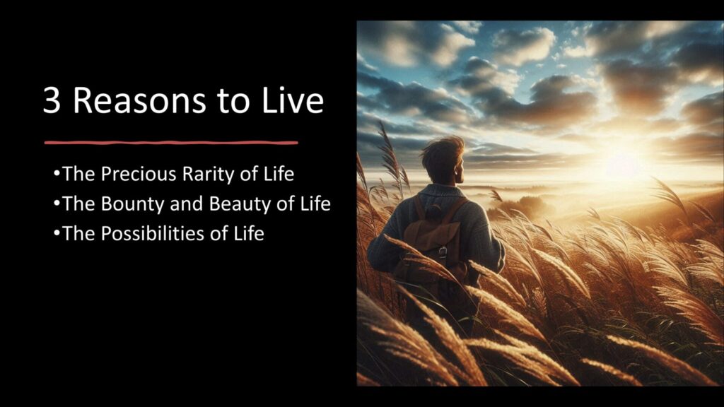 Young man staring longingly at a sunrise across a field of long grasses. The text says: "3 Reasons to Live"