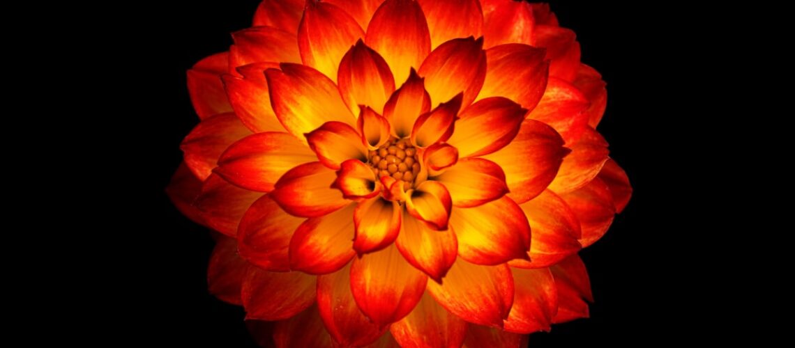 3d53f023beead94582e20bbf442b6d16.original