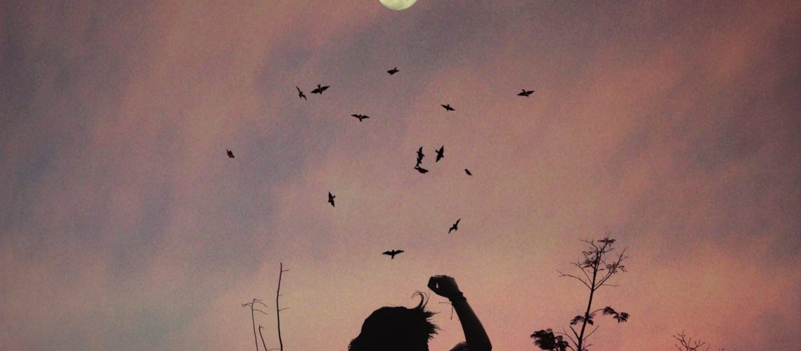 afterglow-art-backlit-556669 pexels