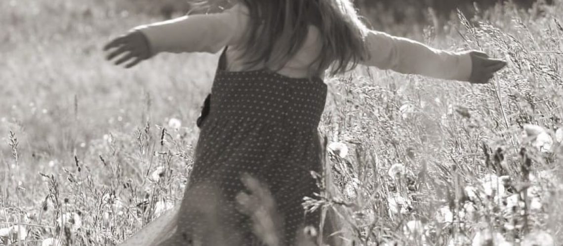 meadow-1370133_1280 (3)